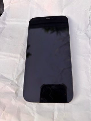 iPhone 12 Pro color Oro