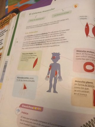 CIENCIAS DE LA NATURALEZA 5 PRIMARIA CONSTRUYEN...
