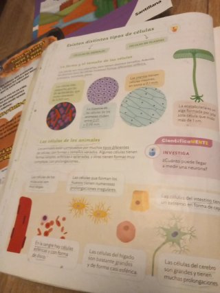 CIENCIAS DE LA NATURALEZA 5 PRIMARIA CONSTRUYEN...