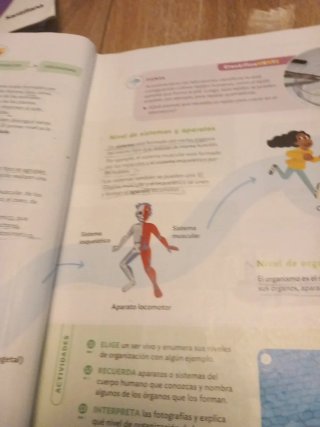 CIENCIAS DE LA NATURALEZA 5 PRIMARIA CONSTRUYEN...