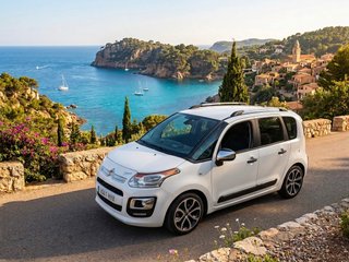 Citroen C3 Picasso 2014 (625900859)