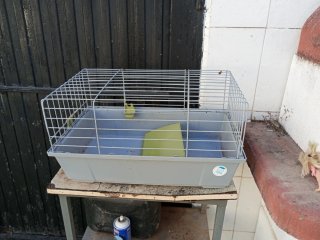 Jaula para conejo o cobaya