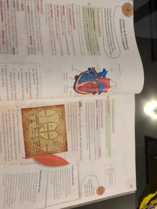 Ciencias de la Naturaleza, 5 Primaria