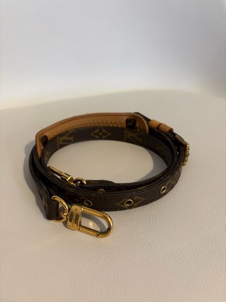 Tracolla Louis Vuitton Monogram