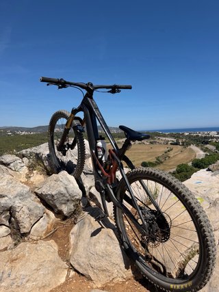 Orbea Wild M-Team