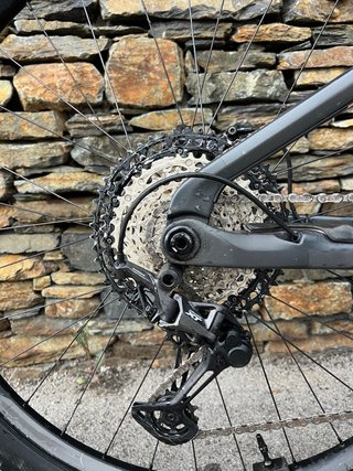 Orbea Wild M-Team