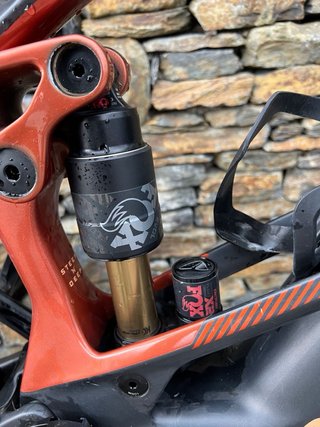 Orbea Wild M-Team