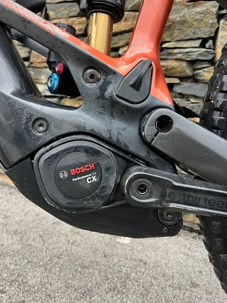Orbea Wild M-Team