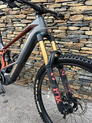 Orbea Wild M-Team