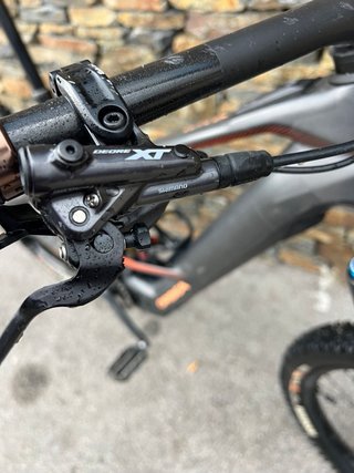 Orbea Wild M-Team