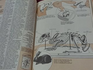 Guia práctica  para los amantes de la naturaleza