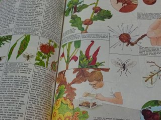 Guia práctica  para los amantes de la naturaleza