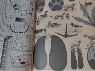 Guia práctica  para los amantes de la naturaleza
