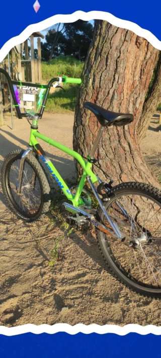 Bmx Auburn CR20