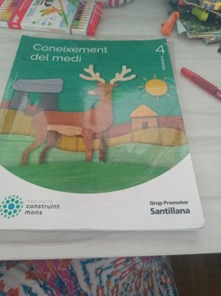 Coneixement del medi, 4 Primària, Projecte Cons...