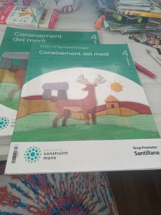 Coneixement del medi, 4 Primària, Projecte Cons...