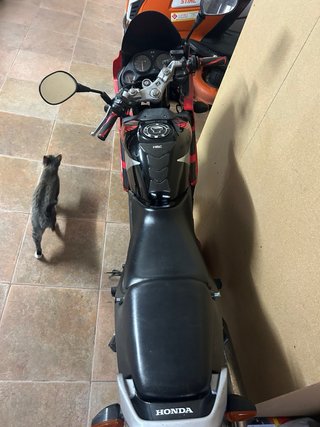 Honda CBR125R