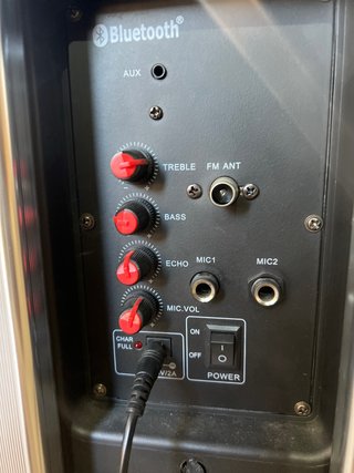 Altavoz NGS Wilddisco con micrófonos