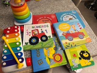 Lote libros y juguetes