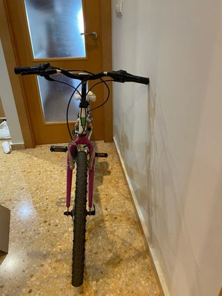 Bicicleta 24’