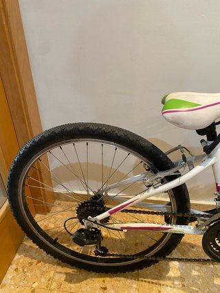 Bicicleta 24’