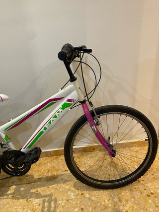 Bicicleta 24’