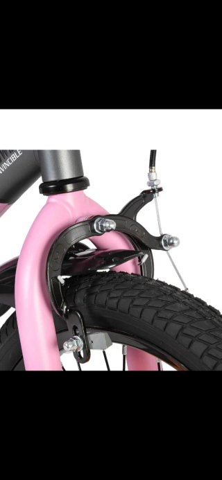 Bicicleta Infantil Joystar Berry 20