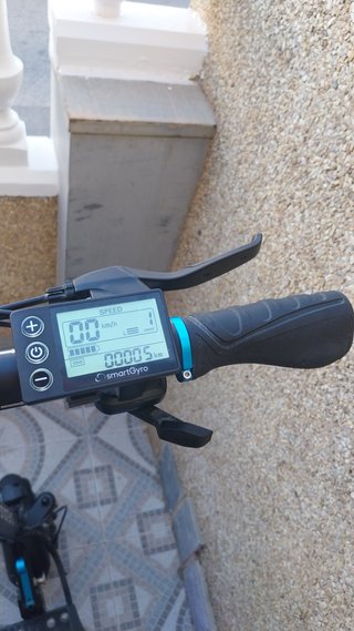 Patinete Eléctrico Smartgyro SW-RW