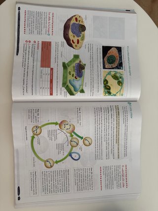 Biología y Geología, 4 ESO, Andalucía
