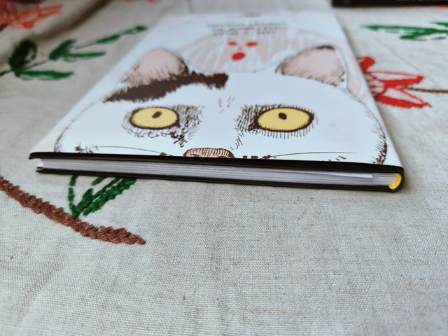 El diario Gatuno de Junji Ito. Yon y Mu.