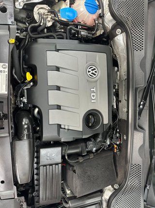 Volkswagen Beetle 1.6 TDI 105cv Beetlemanía