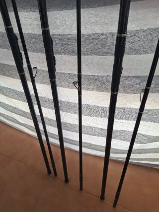Cañas de surfcasting Zziplex