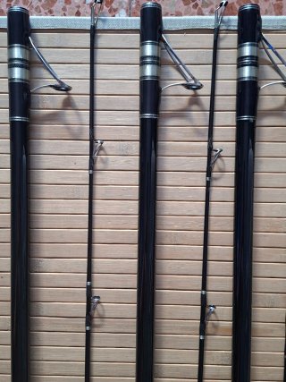 Cañas de surfcasting Zziplex