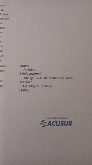 Litografía Antigua Málaga