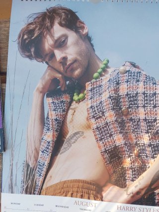 Revistas  de Harry Styles , Timothy , Taylor, O.Ro