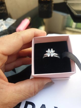 Doble Anillo Pandora Trébol 4 Hojas Plata 925 t.56
