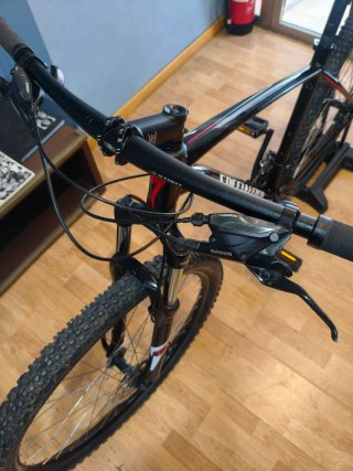 Bici MTB Specialized 29 talla L
