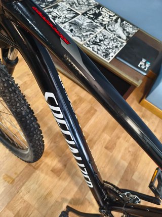 Bici MTB Specialized 29 talla L