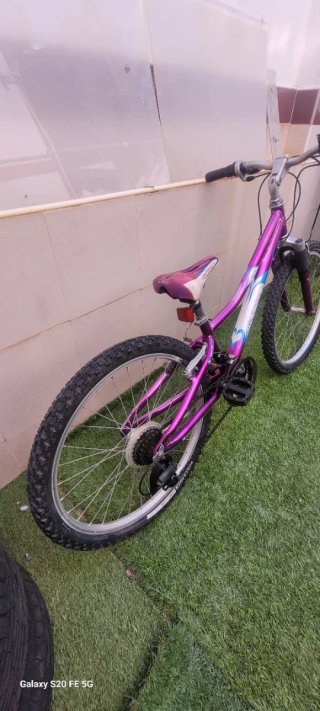 Bicicleta Montaña 24 Morada GARY FISHER