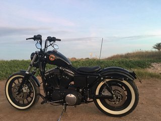 Harley Sportster 883R 2001