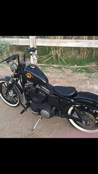 Harley Sportster 883R 2001