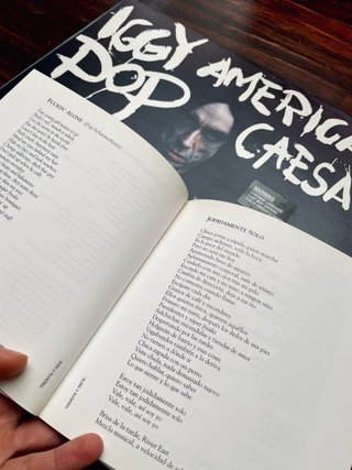 IGGY POP VINILO LP AMERICAN CAESAR 1993 DISCO ROCK