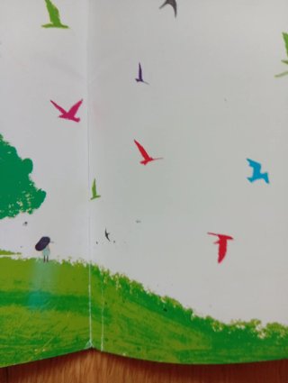 Libro: Un regalo para Silvia - Ala Delta