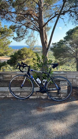 Bicicleta carretera Trek Madonne 4.5 talla 56