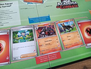 Pokemon Academia de Combate Juego de Cartas