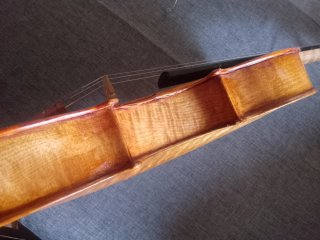 Violín 1/2