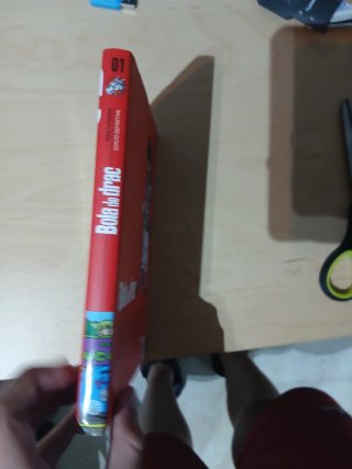 Bola de Drac Definitiva 1