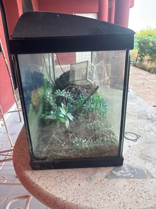 Pecera 120L para principiantes Precio negociable