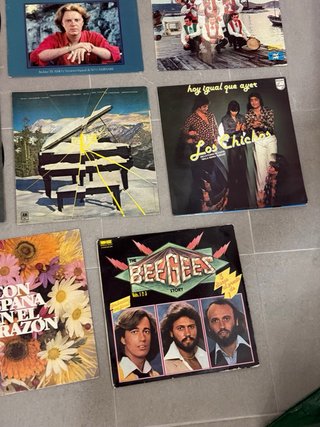 Lote Vinilos LP Pop Español e Internacional