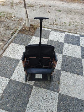 Carrito de bebé Asalvo